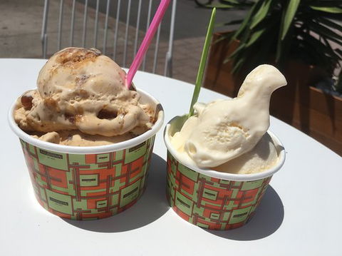 Gelato Messina Braddon - Accommodation Port Macquarie 0