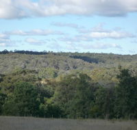 U Saucey Thing - Accommodation Port Macquarie