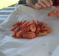 Ballina Fishermen's Co-op - Accommodation Port Macquarie