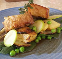 Little Oink - Accommodation Port Macquarie