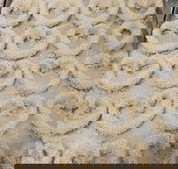 Fairfield Bakery - Accommodation Port Macquarie