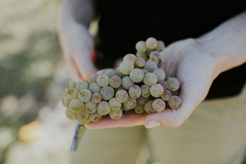Rowlee Vine To Table Experience - Accommodation Port Macquarie 1