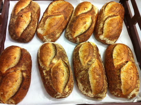 Wood-Frog Bakery - Accommodation Port Macquarie 0
