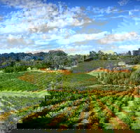 Kellybrook Winery and Kelly Brothers Cider - Accommodation Port Macquarie