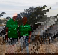 Milawa Organic Beef - Accommodation Port Macquarie