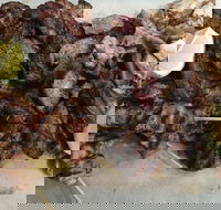 Pita Wrap It - Accommodation Port Macquarie