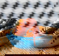 The Yiros Shop - Cannon Hill - Accommodation Port Macquarie