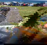 Fish House - Accommodation Port Macquarie
