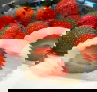 Lucky Dumpling - Accommodation Port Macquarie