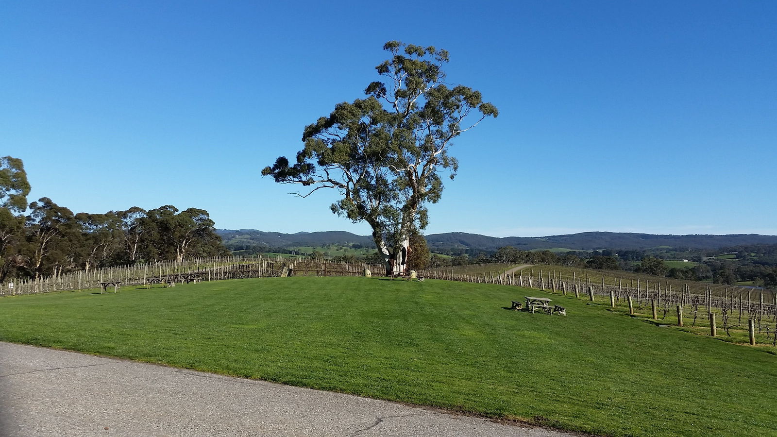  Accommodation Port Macquarie