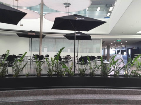 D Cafe - Accommodation Port Macquarie 0