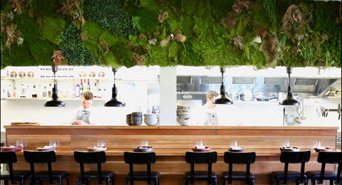 EXP. Restaurant - Accommodation Port Macquarie 0