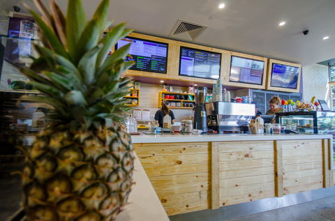 Raw Energy Springfield - Accommodation Port Macquarie 1