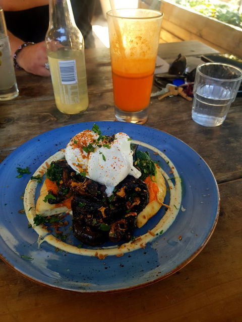 Mister Sunshine's - Accommodation Port Macquarie 6