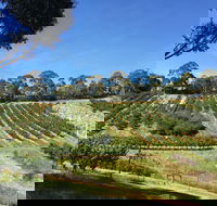Cherrytime Orchard - Accommodation Port Macquarie