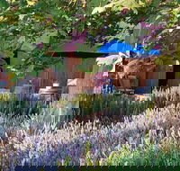 Macquariedale Organic Wines - Accommodation Port Macquarie