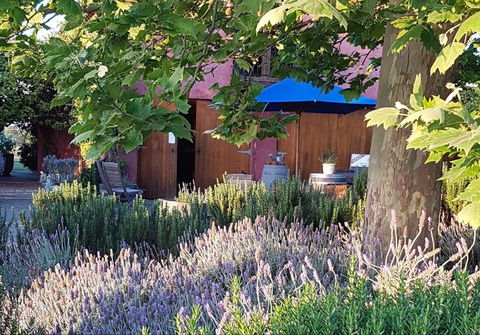 Macquariedale Organic Wines - Accommodation Port Macquarie 0
