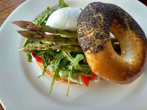 North Cafeteria - Accommodation Port Macquarie 0