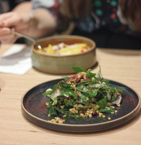 Ona Marrickville - Accommodation Port Macquarie 0
