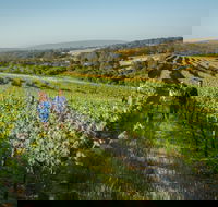 Wills Domain - Accommodation Port Macquarie