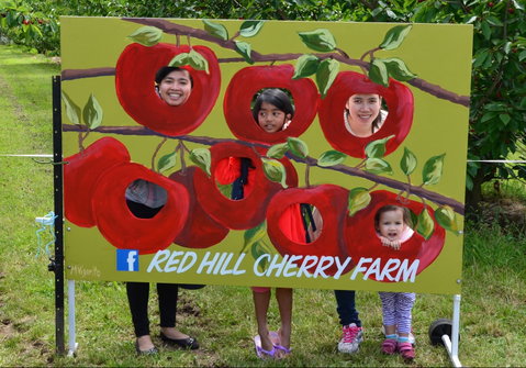 Red Hill Cherry Farm - Accommodation Port Macquarie 1