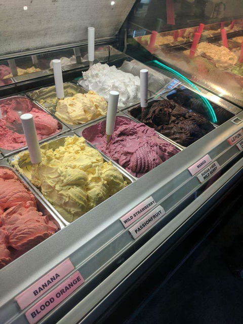 Scoops Gelato - Accommodation Port Macquarie 0