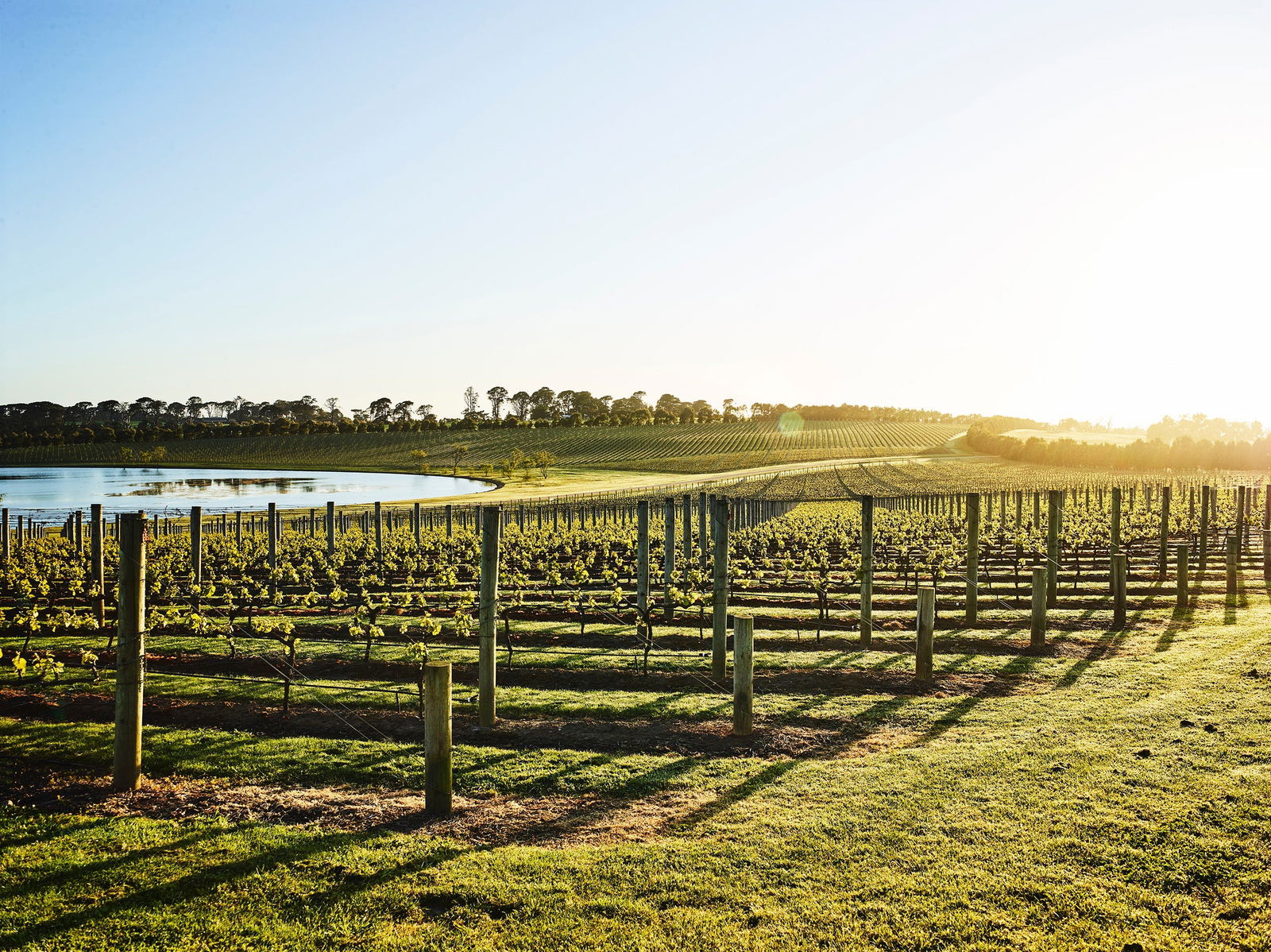 Merricks VIC Accommodation Port Macquarie