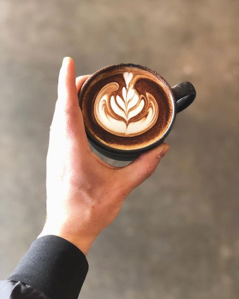 Buddy Espresso - Accommodation Port Macquarie 0
