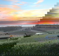 Cape Bernier Vineyard - Accommodation Port Macquarie