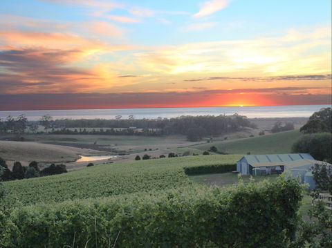 Cape Bernier Vineyard - Accommodation Port Macquarie 0
