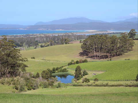 Cape Bernier Vineyard - Accommodation Port Macquarie 1