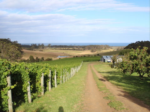 Cape Bernier Vineyard - Accommodation Port Macquarie 2