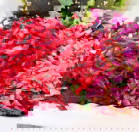 Caph's Bar Restaurant - Accommodation Port Macquarie