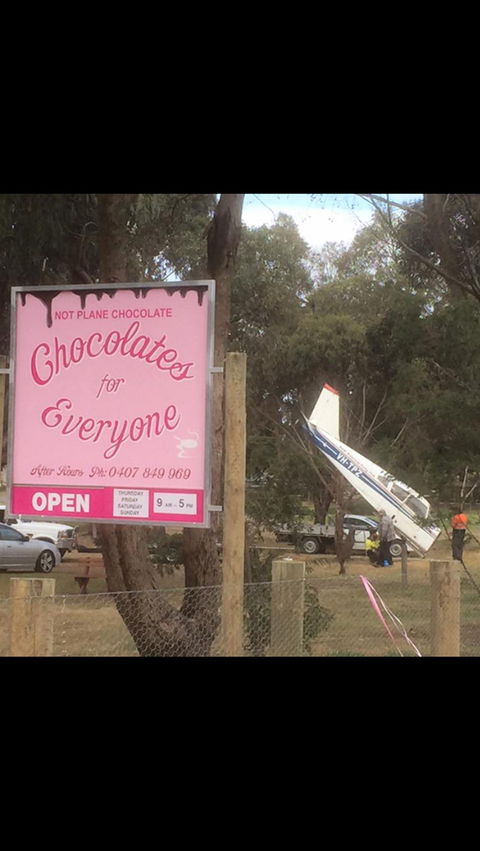 Chocolates For Everyone - Accommodation Port Macquarie 1