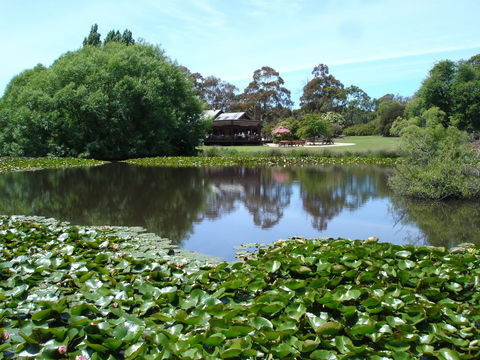 Christmas Hills Raspberry Farm Cafe - Accommodation Port Macquarie 1