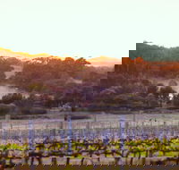 Howling Wolves Wines - Accommodation Port Macquarie