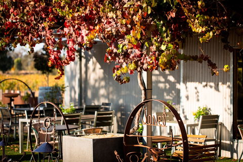Jones Winery & Vineyard - Accommodation Port Macquarie 0