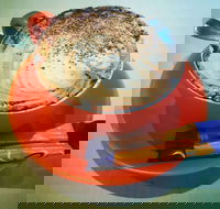 Arthur Radley - Accommodation Port Macquarie