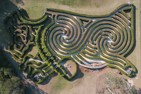 Bago Maze And Wine - Accommodation Port Macquarie 0
