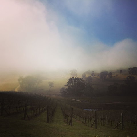 Dryridge Estate - Accommodation Port Macquarie 1