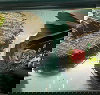 Meldrums Pies in Paradise - Accommodation Port Macquarie