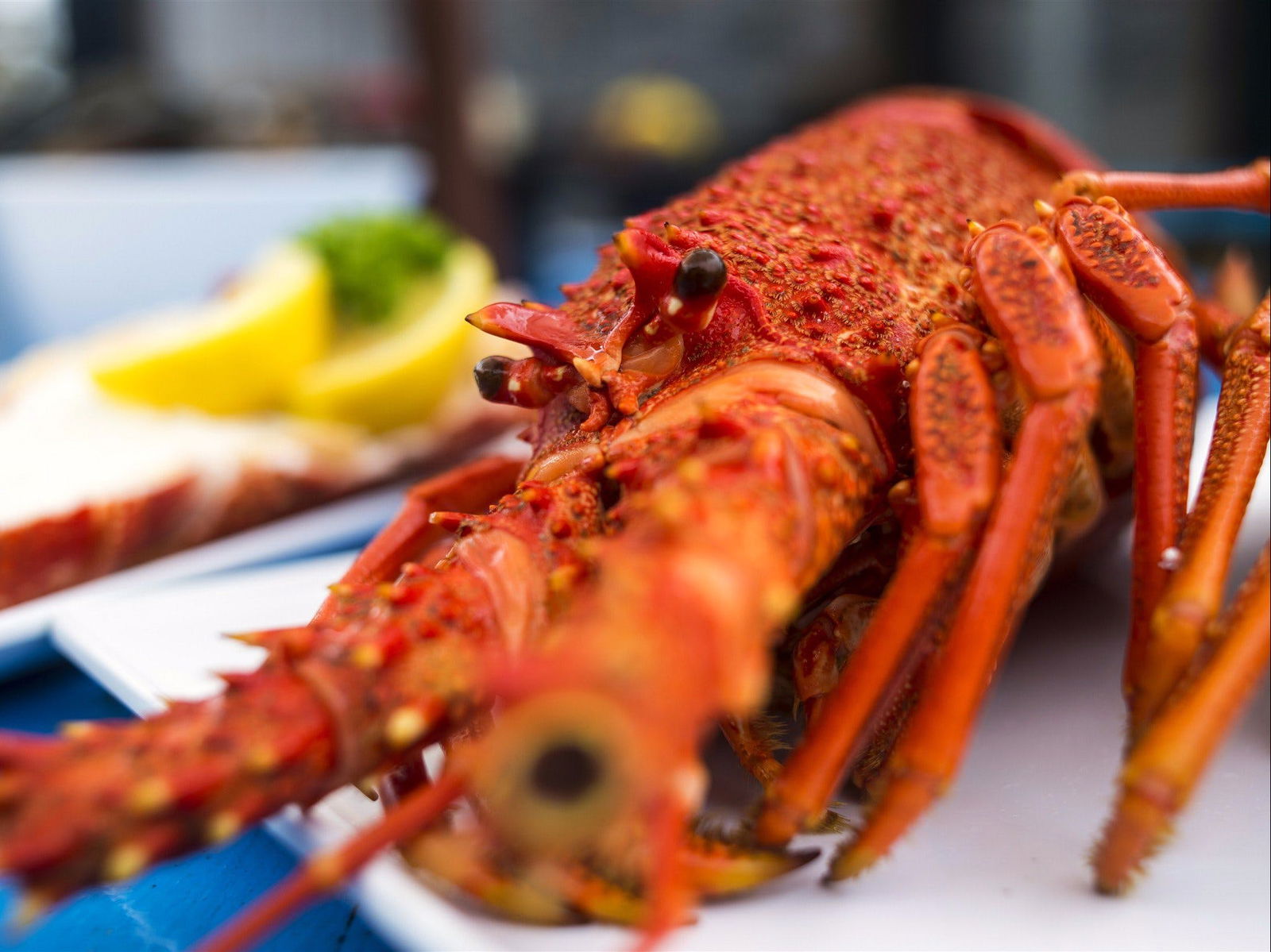 Coles Bay TAS Accommodation Port Macquarie