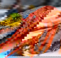 Freycinet Marine Farm - Accommodation Port Macquarie