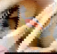 Post Office Cafe - Accommodation Port Macquarie