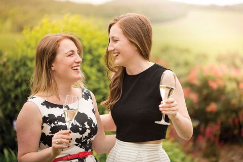 De Bortoli Wines Pokolbin - Accommodation Port Macquarie 0
