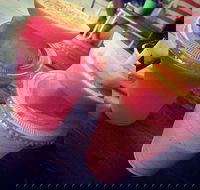 Fresh Garden Cafe - Accommodation Port Macquarie