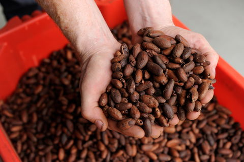 Zokoko Chocolate And Espresso Cafe - Accommodation Port Macquarie 0