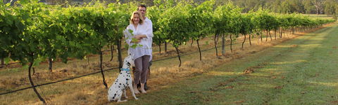 Greenway Wines - Accommodation Port Macquarie 1