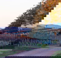 Rowlee Wines