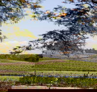 Wynwood Estate - Accommodation Port Macquarie